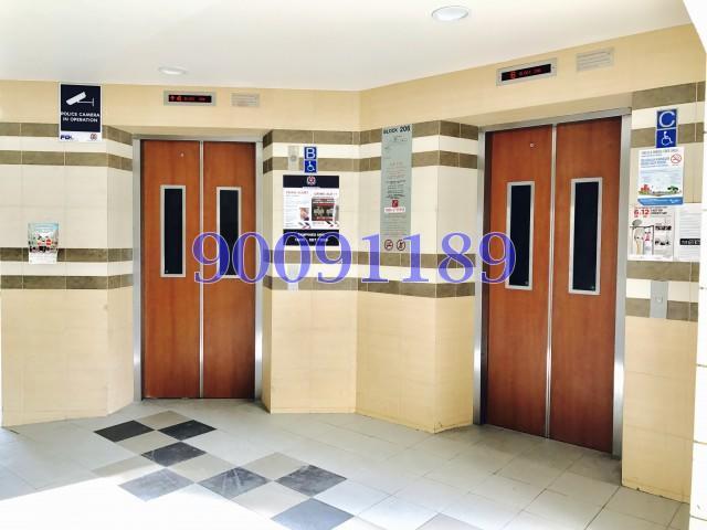 Blk 206 Tampines Street 21 (Tampines), HDB 3 Rooms #131113712